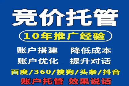 SEM广告创意与优化：成功案例分享